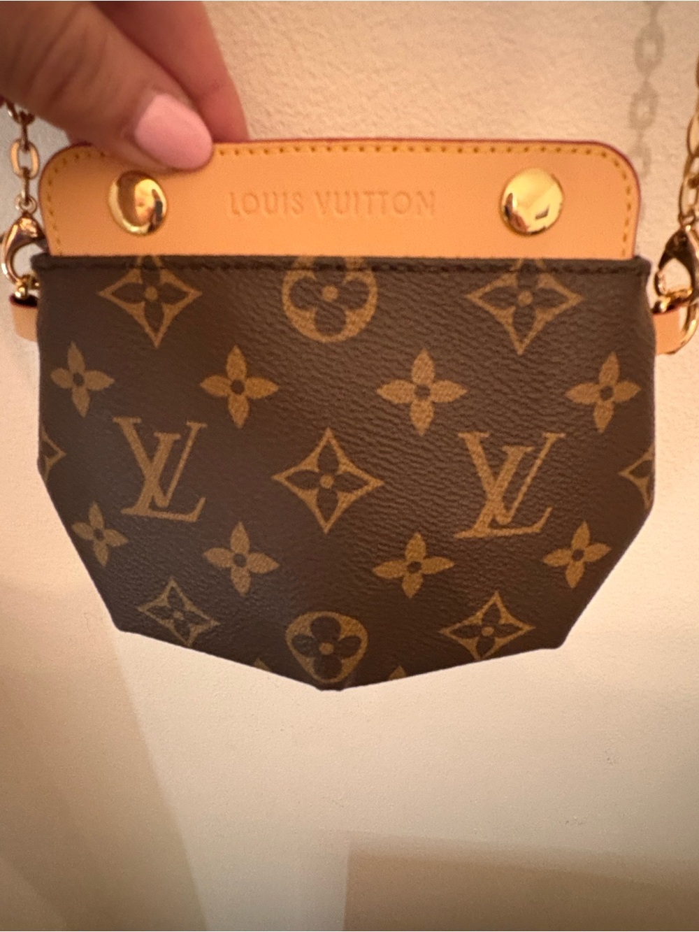 Louis Vuitton Monogram Mini Chain Pouch in Brown and Tan